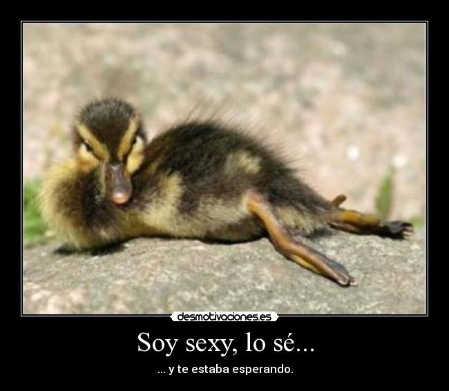 Soy sexy, lo sé... - ... y te estaba esperando.
