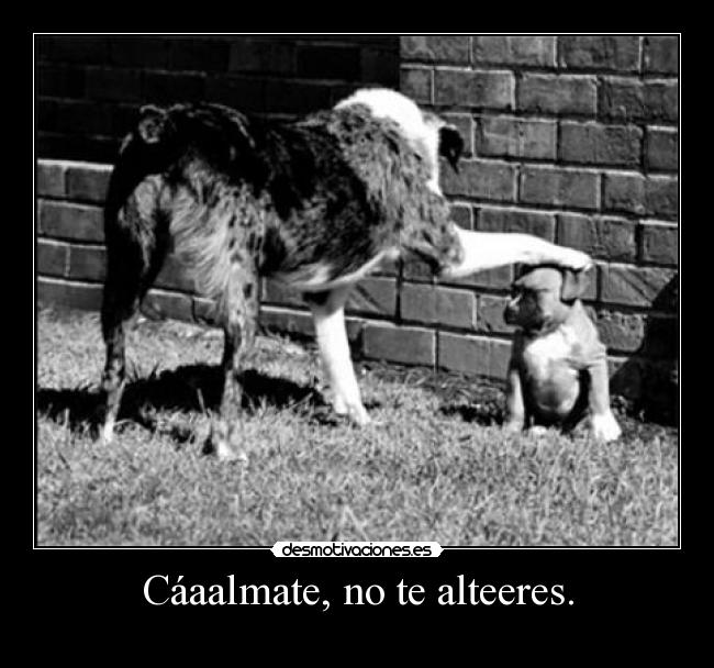Cáaalmate, no te alteeres. - 
