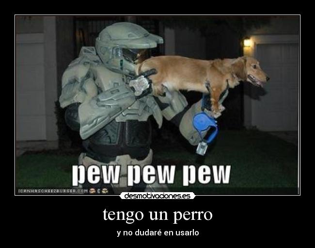 tengo un perro - y no dudaré en usarlo
