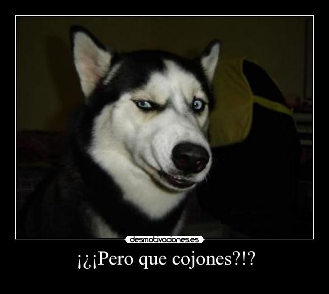 ¡¿¡Pero que cojones?!? -
