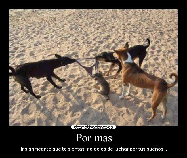 carteles sueno desmotivaciones