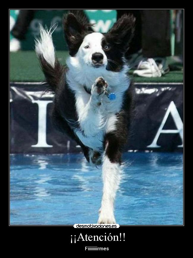 ¡¡Atención!! -