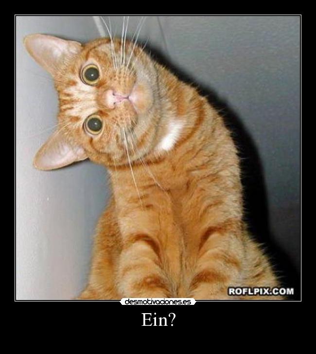 Ein? -