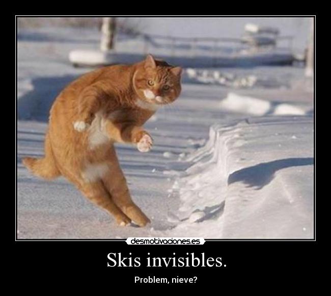 Skis invisibles. -