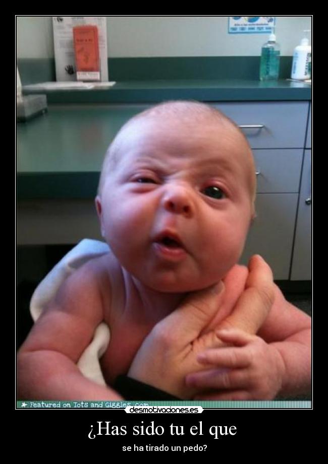 ¿Has sido tu el que -