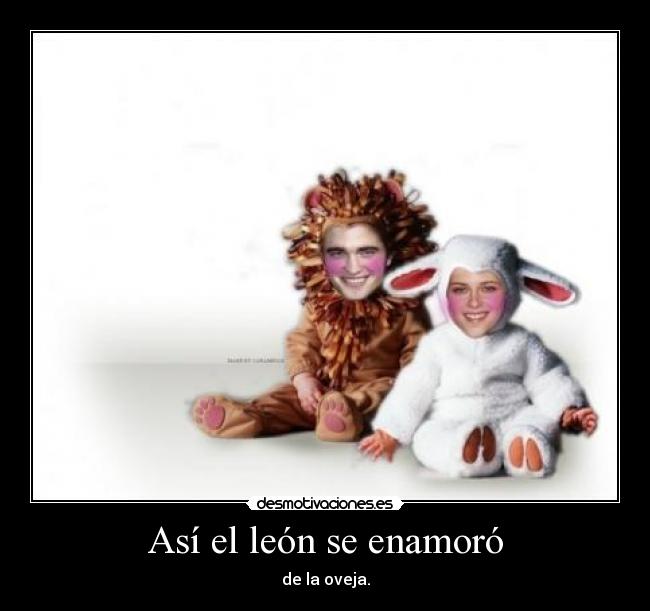 Así el león se enamoró - 