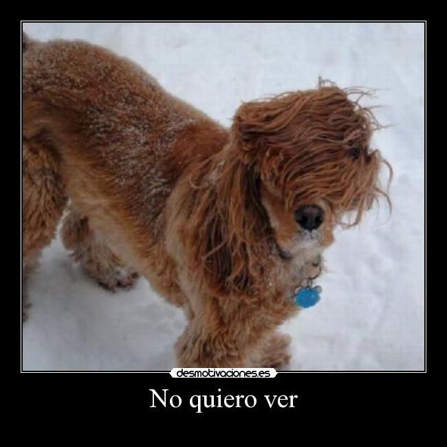 No quiero ver -