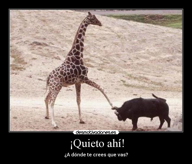 ¡Quieto ahí! - ¿A dónde te crees que vas?