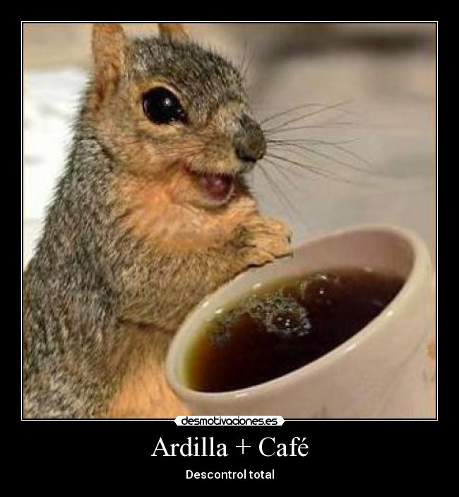 Ardilla + Café -