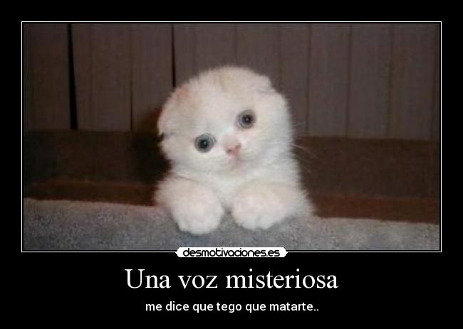 Una voz misteriosa -