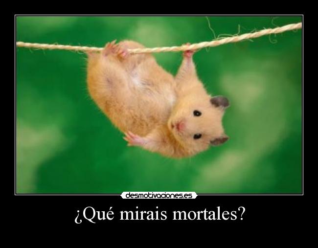 ¿Qué mirais mortales? - 