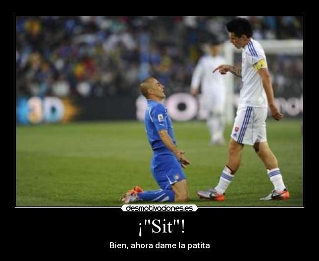 ¡Sit! - 