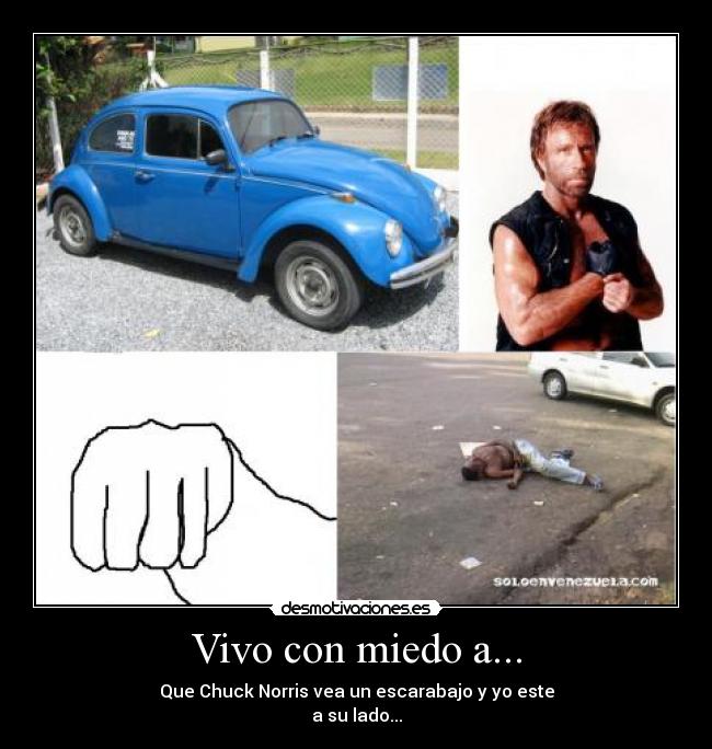Vivo con miedo a... - Que Chuck Norris vea un escarabajo y yo este
a su lado...