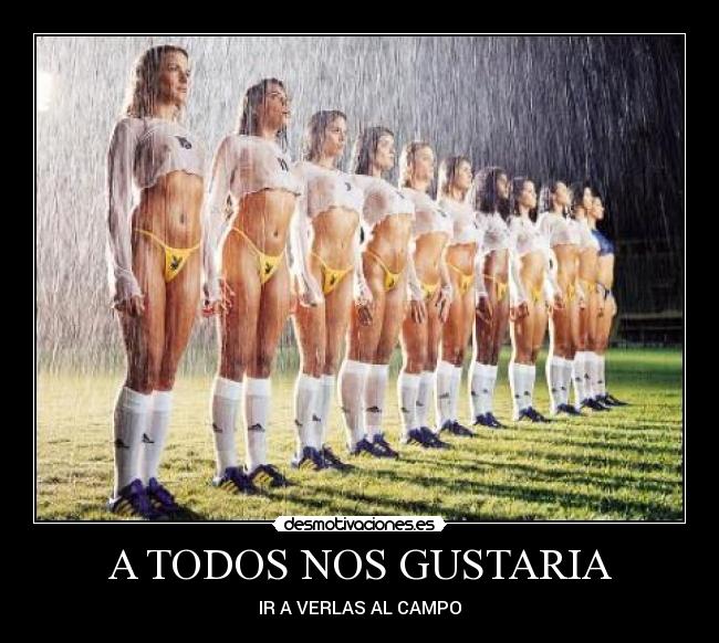  A TODOS NOS GUSTARIA  - IR A VERLAS AL CAMPO