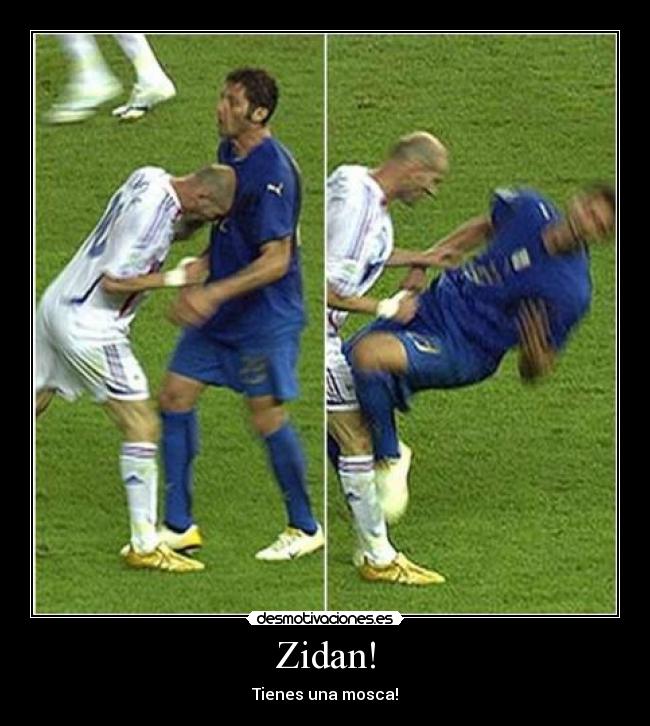 Zidan! - Tienes una mosca!