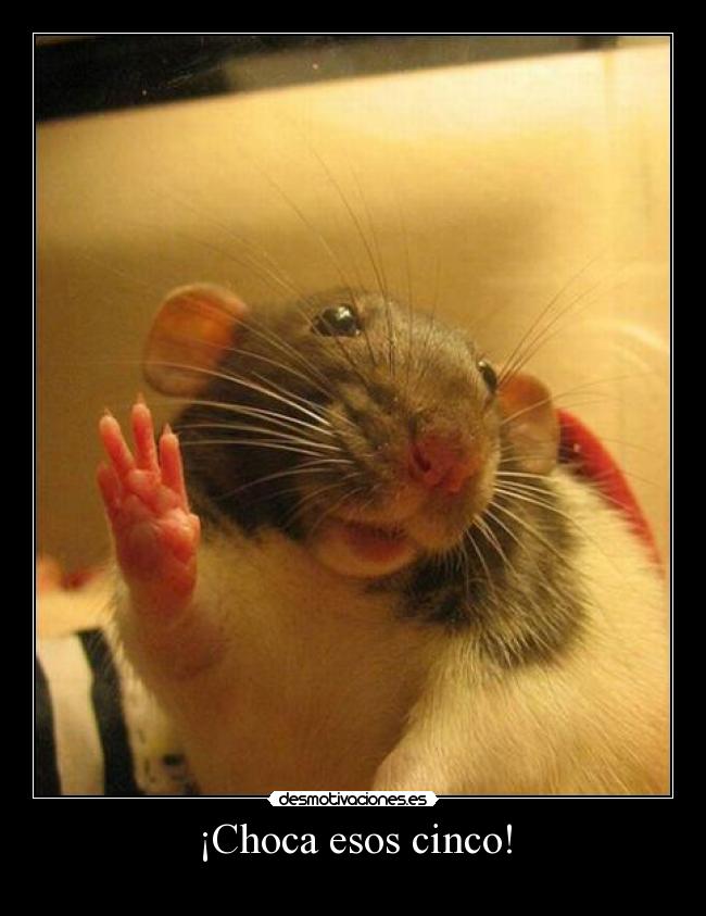 ¡Choca esos cinco! -