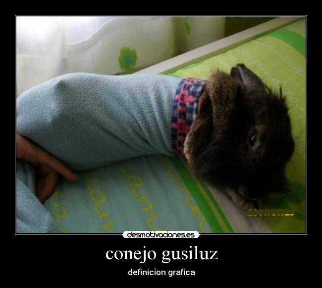 conejo gusiluz - definicion grafica