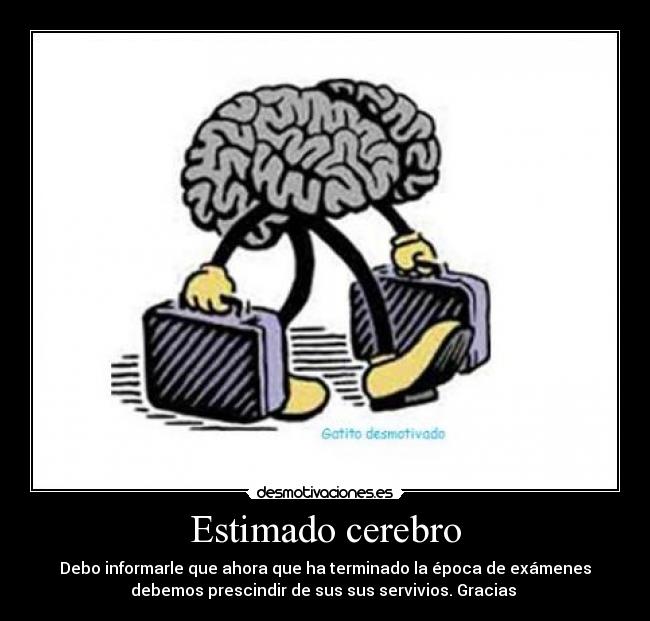 Estimado cerebro - Debo informarle que ahora que ha terminado la época de exámenes
debemos prescindir de sus sus servivios. Gracias