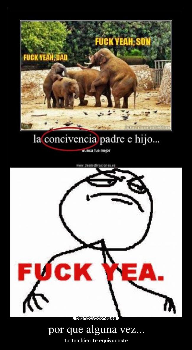 por que alguna vez... - tu tambien te equivocaste