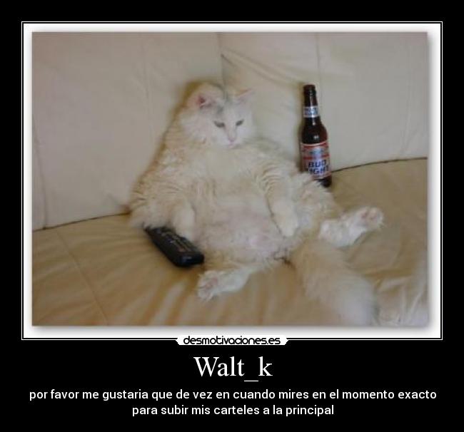 Walt_k - por favor me gustaria que de vez en cuando mires en el momento exacto
para subir mis carteles a la principal