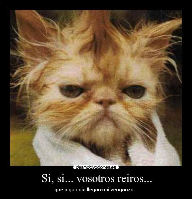Si, si... vosotros reiros... - 