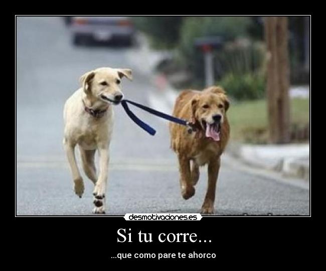 Si tu corre... - ...que como pare te ahorco