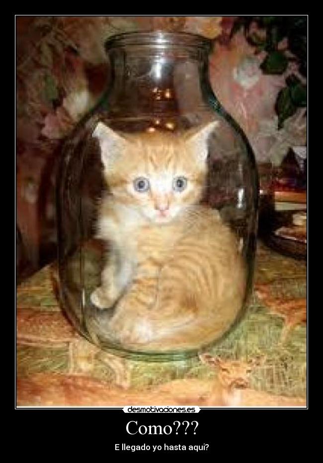 Como??? - 