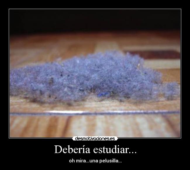 Debería estudiar... -
