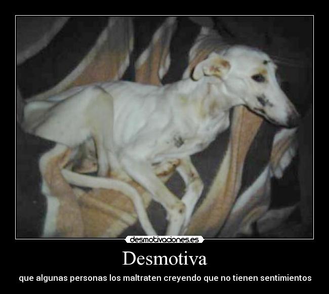Desmotiva - 