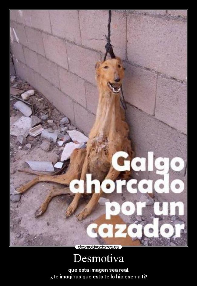 Desmotiva - que esta imagen sea real.
¿Te imaginas que esto te lo hiciesen a ti?