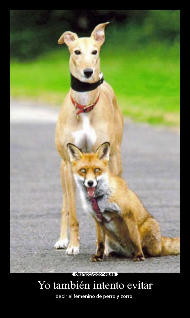 Yo también intento evitar -