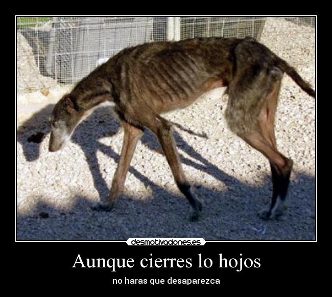 Aunque cierres lo hojos - 