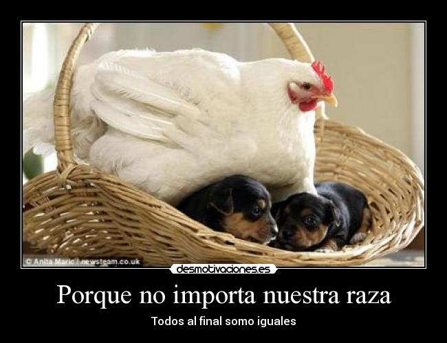 Porque no importa nuestra raza -