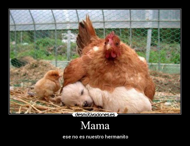 Mama - ese no es nuestro hermanito