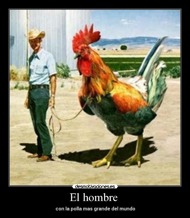 carteles polla desmotivaciones