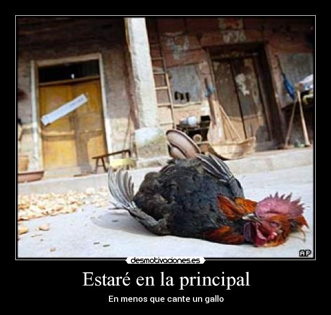 Estaré en la principal - 