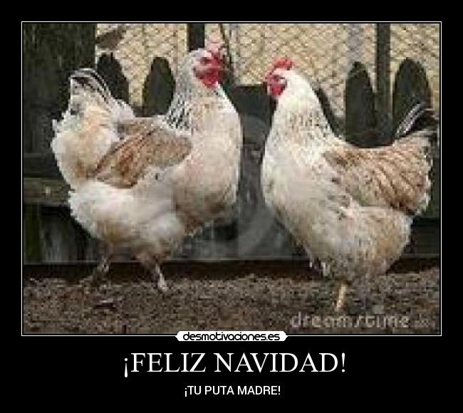 ¡FELIZ NAVIDAD! - ¡TU PUTA MADRE!