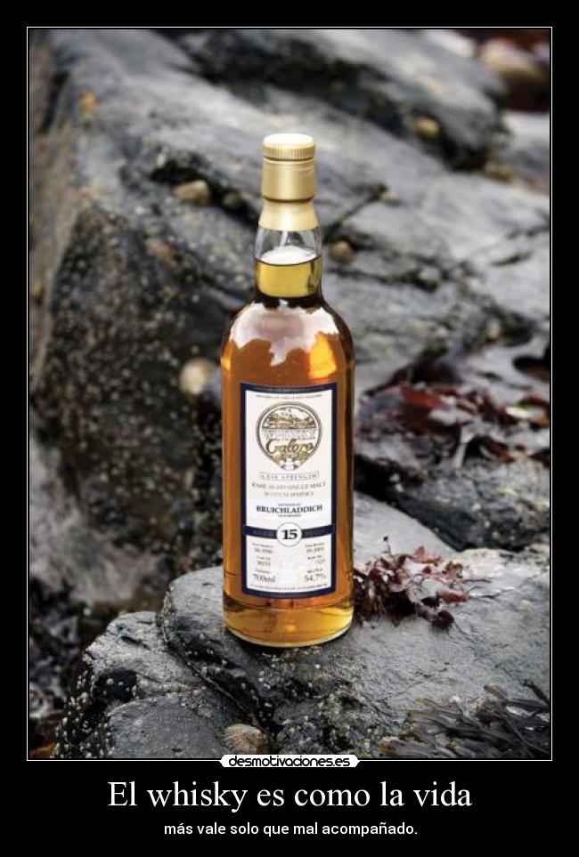 El whisky es como la vida - más vale solo que mal acompañado.