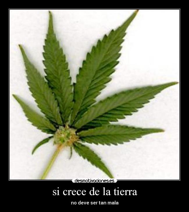 si crece de la tierra - 