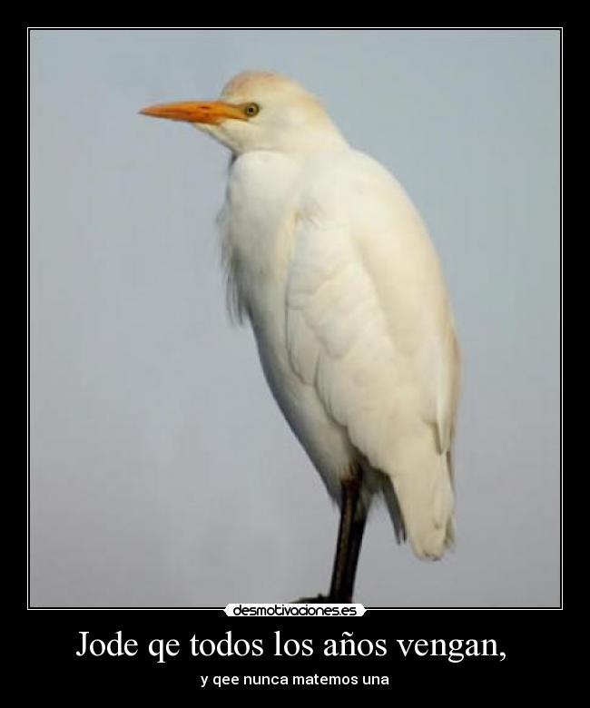 Jode qe todos los años vengan, -