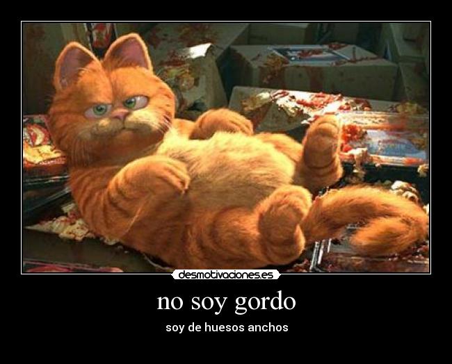 no soy gordo - 