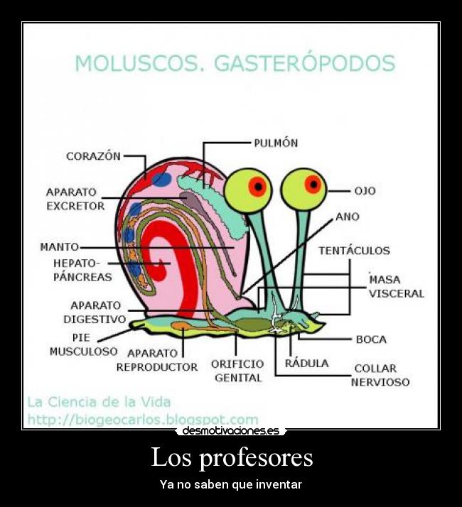 Los profesores -
