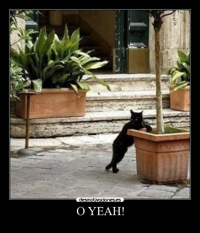 O YEAH! -