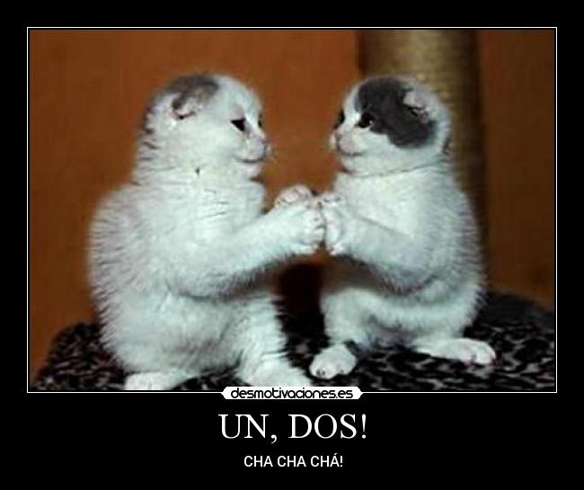 UN, DOS! -