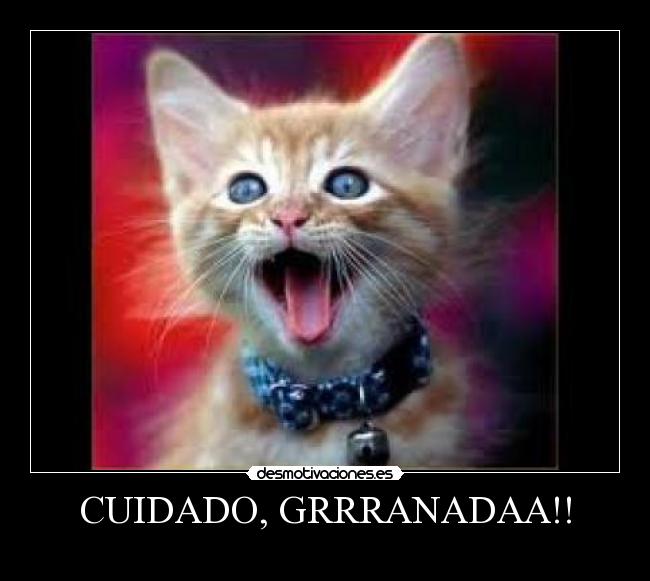 CUIDADO, GRRRANADAA!! -
