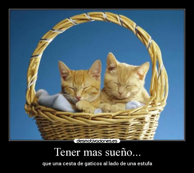 Tener mas sueño... - 