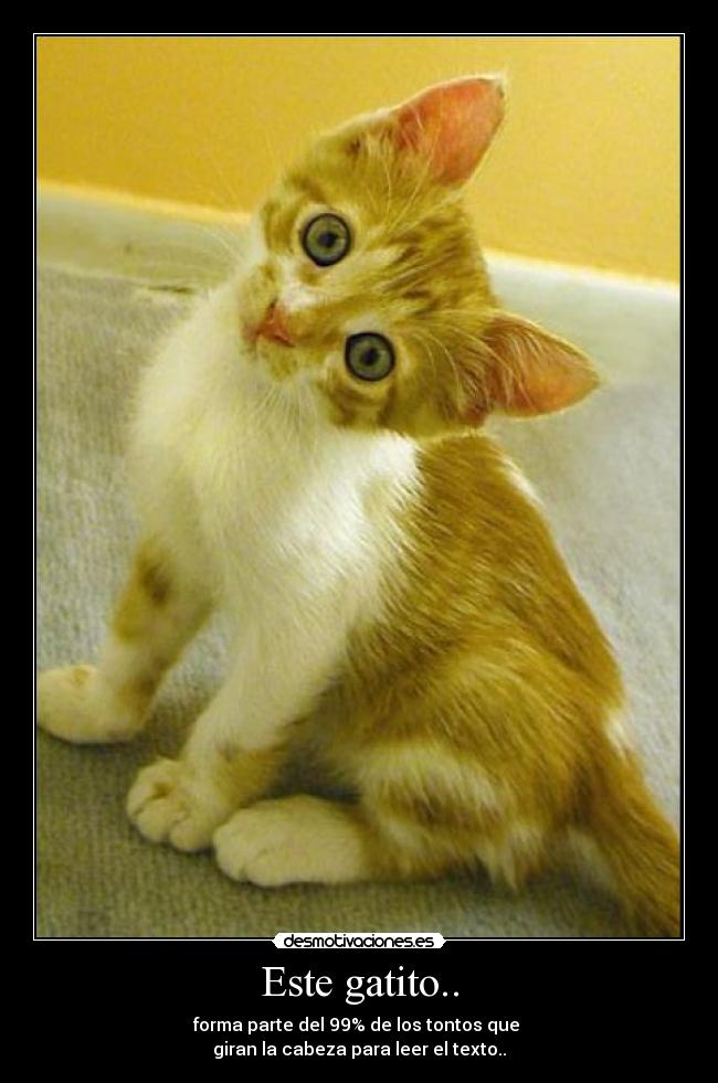 Este gatito.. - forma parte del 99% de los tontos que 
giran la cabeza para leer el texto..