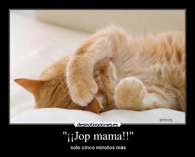 ¡¡Jop mama!! -