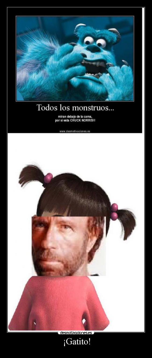 ¡Gatito! -