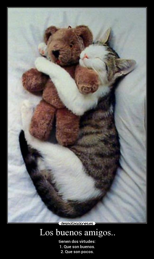 carteles amigos amiguitos desmotivaciones